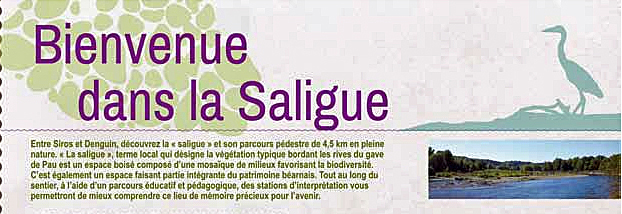 Bienvenue Saligue Site