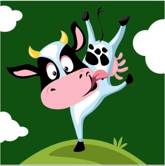 photo humoristique vache