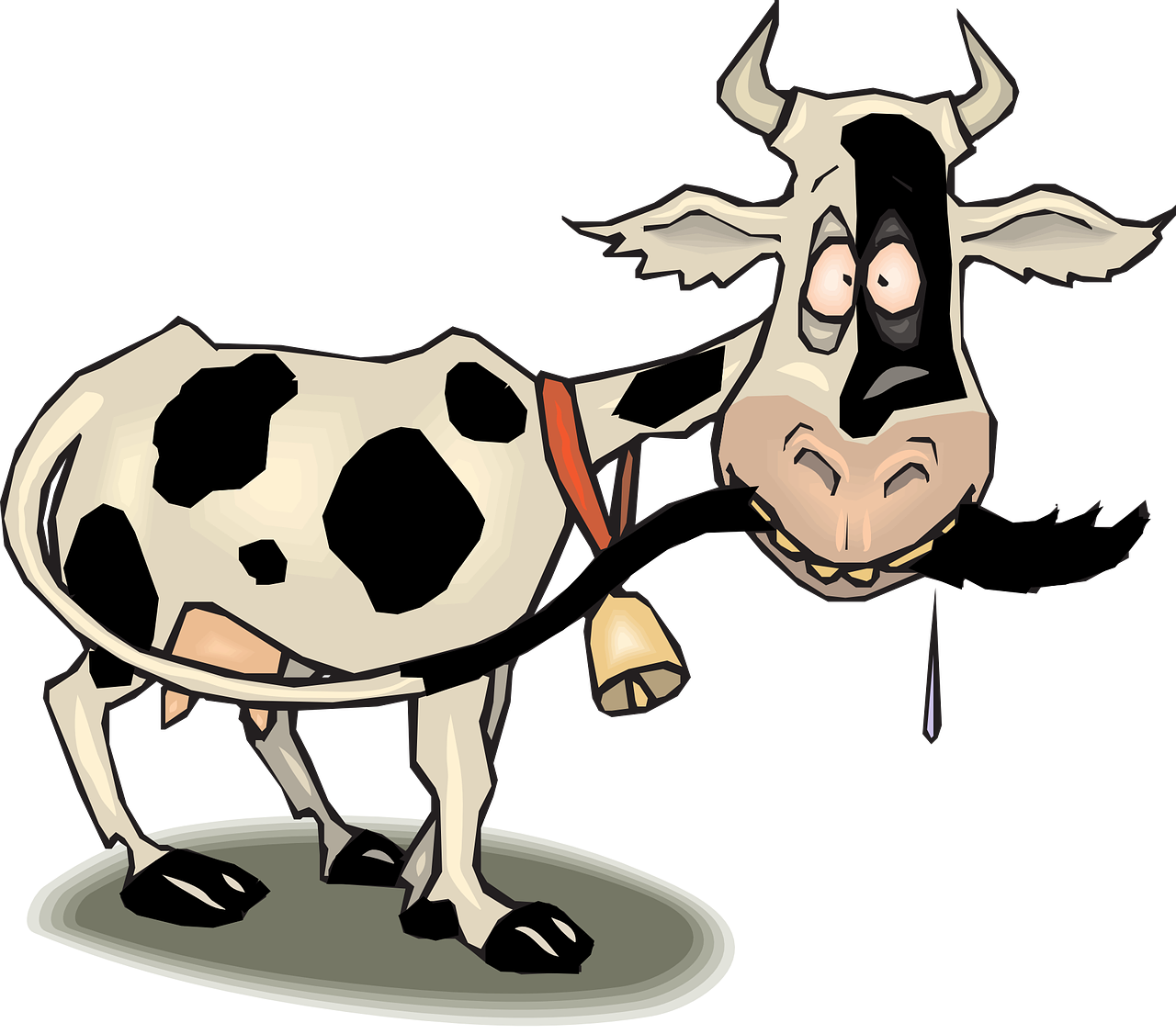 vache